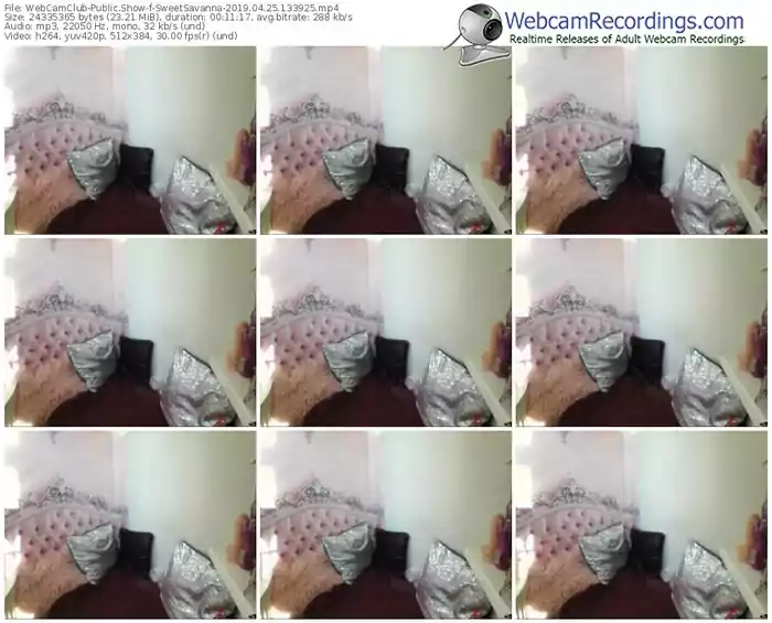 webcamclub-sweetsavanna-webcam-show-04_25_2019-13_39_25