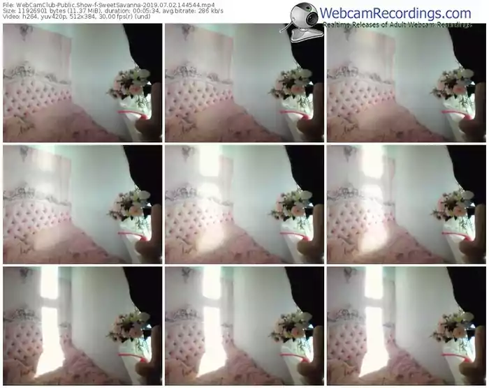 webcamclub-sweetsavanna-webcam-show-07_02_2019-14_45_44