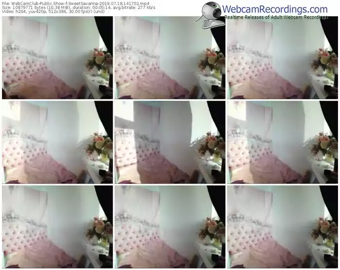webcamclub-sweetsavanna-webcam-show-07_18_2019-14_17_02