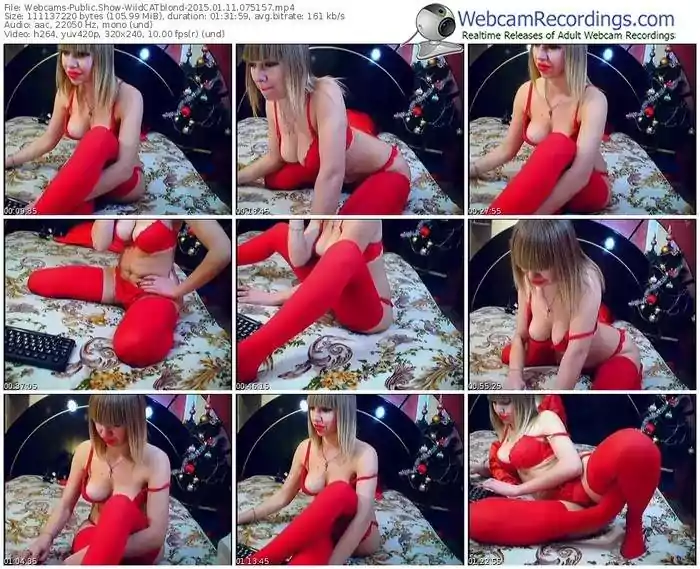 webcams-wildcatblond-public-show-01_11_2015-07_51_57