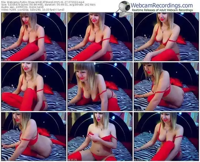 webcams-wildcatblond-public-show-01_27_2015-07_20_22