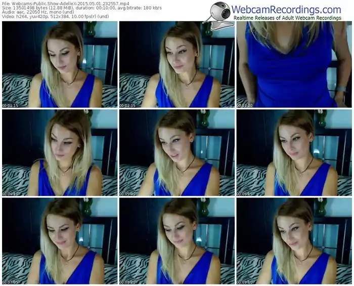 webcams-adellex-public-show-05_01_2015-23_25_57