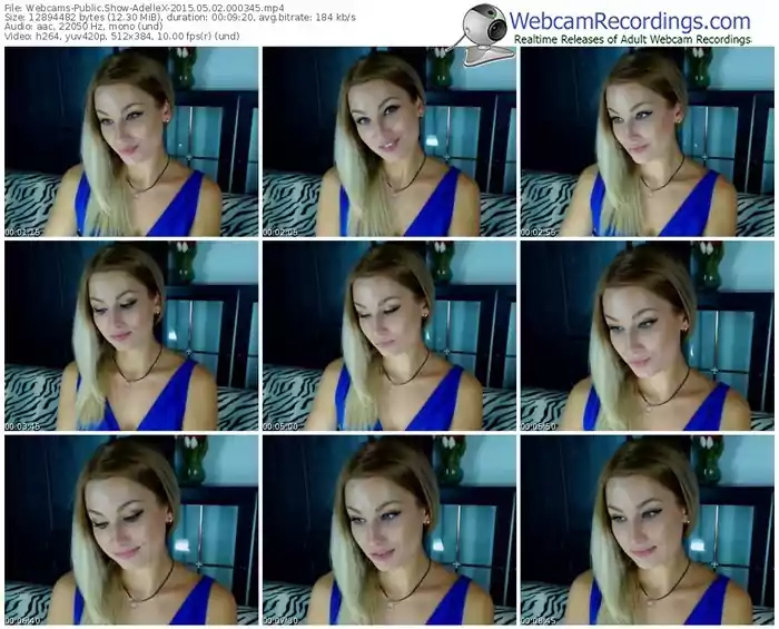 webcams-adellex-public-show-05_02_2015-00_03_45