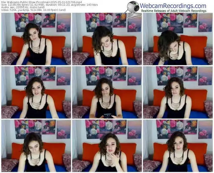 webcams-piccolinau-public-show-05_02_2015-02_17_06