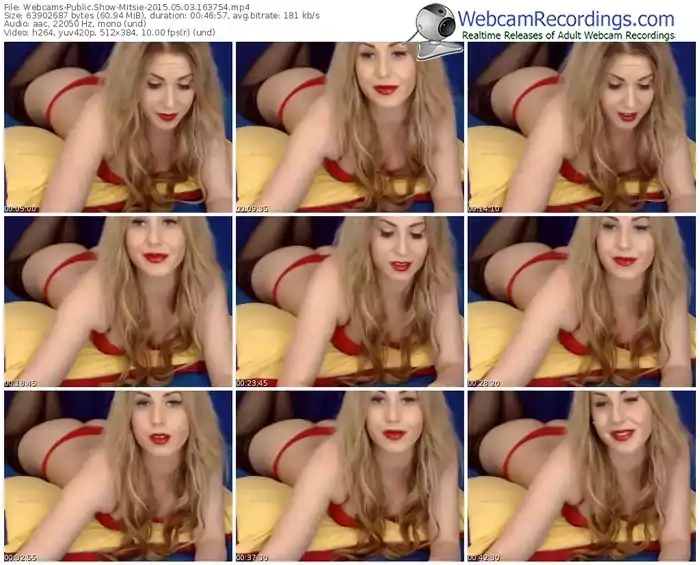 webcams-mitsie-public-show-05_03_2015-16_37_54