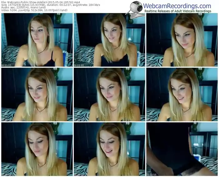 webcams-adellex-public-show-05_04_2015-19_57_42