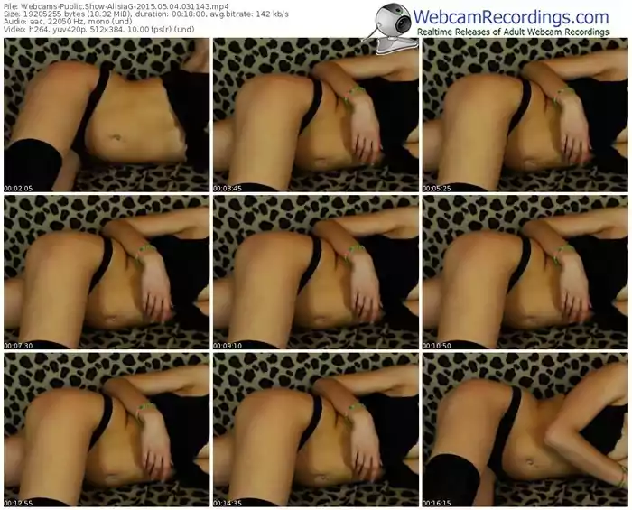 webcams-alisiag-public-show-05_04_2015-03_11_43