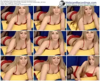 webcams-mitsie-public-show-05_04_2015-20_11_13