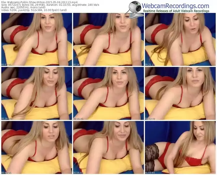 webcams-mitsie-public-show-05_04_2015-20_11_13