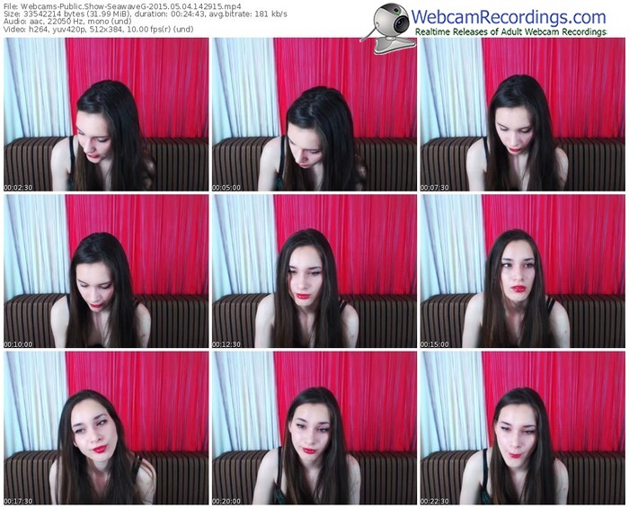 webcams-seawaveg-public-show-05_04_2015-14_29_15