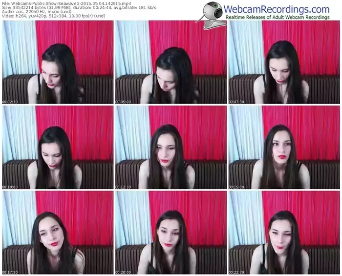 webcams-seawaveg-public-show-05_04_2015-14_29_15