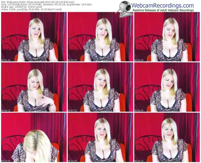 webcams-verona8-public-show-05_04_2015-15_18_33