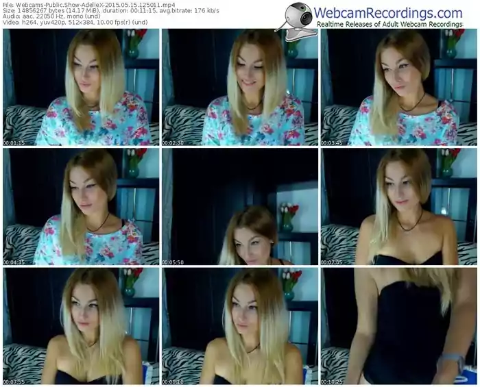 webcams-adellex-public-show-05_15_2015-12_50_11