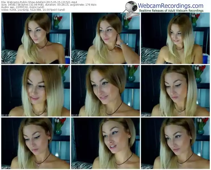 webcams-adellex-public-show-05_15_2015-13_15_21