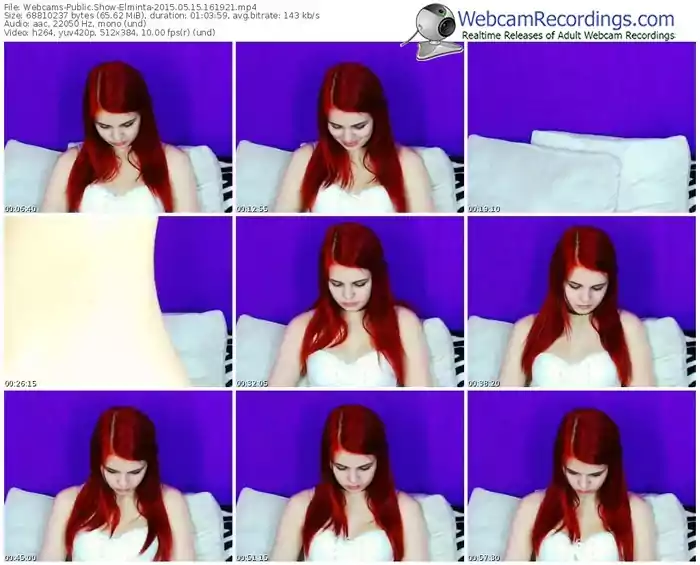 webcams-elminta-public-show-05_15_2015-16_19_21