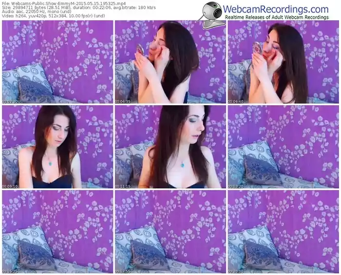 webcams-emmym-public-show-05_15_2015-19_53_25