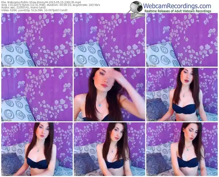 webcams-emmym-public-show-05_15_2015-23_01_35