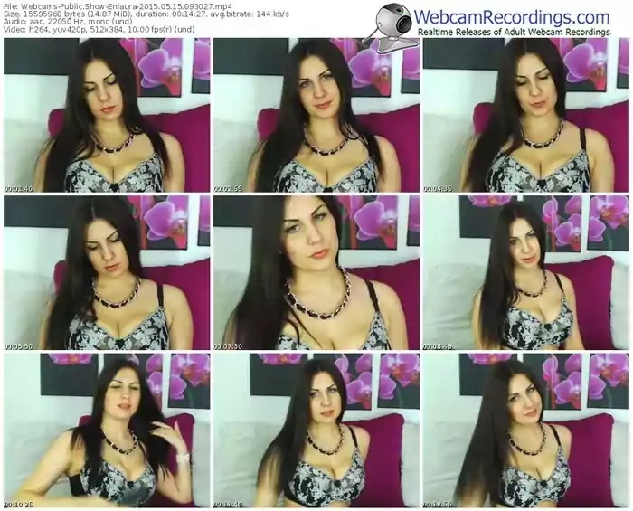 webcams-enlaura-public-show-05_15_2015-09_30_27
