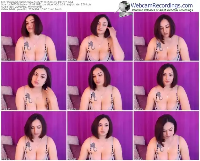 webcams-suisyw-public-show-05_15_2015-13_57_07