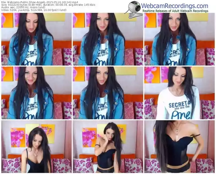 webcams-angell-public-show-05_16_2015-16_11_42