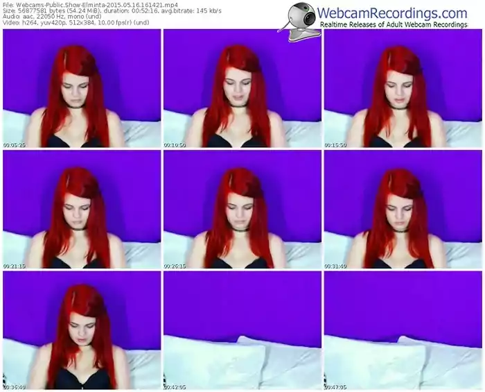 webcams-elminta-public-show-05_16_2015-16_14_21