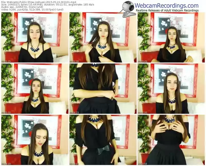webcams-joshuau-public-show-05_16_2015-00_31_01