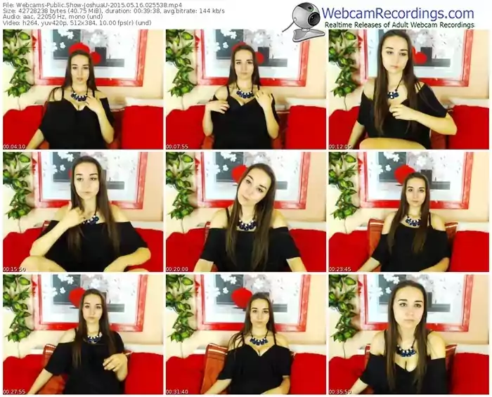 webcams-joshuau-public-show-05_16_2015-02_55_38