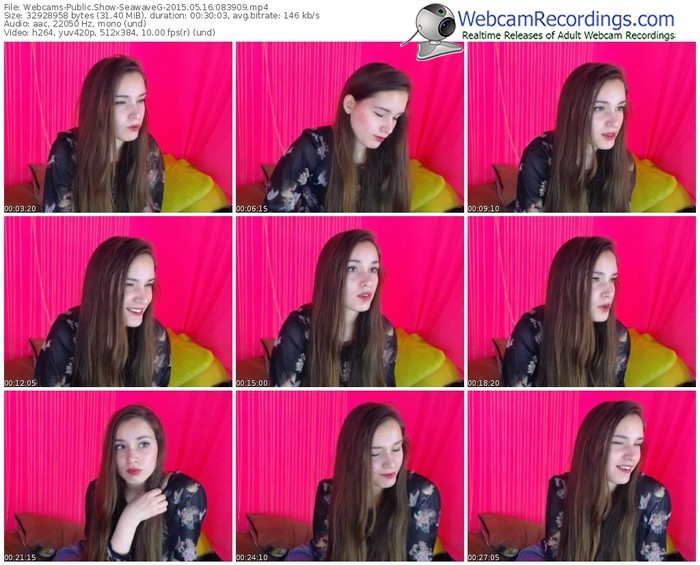 webcams-seawaveg-public-show-05_16_2015-08_39_09