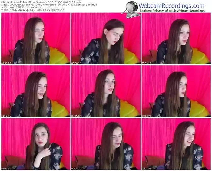 webcams-seawaveg-public-show-05_16_2015-08_39_09