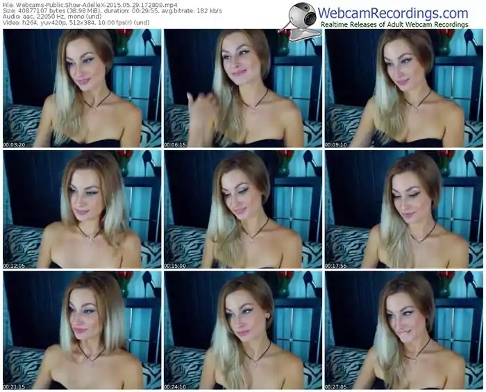webcams-adellex-public-show-05_29_2015-17_28_09