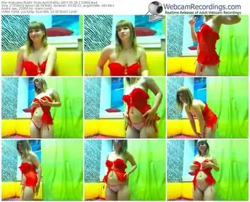 webcams-apilinnasky-public-show-05_29_2015-17_28_09