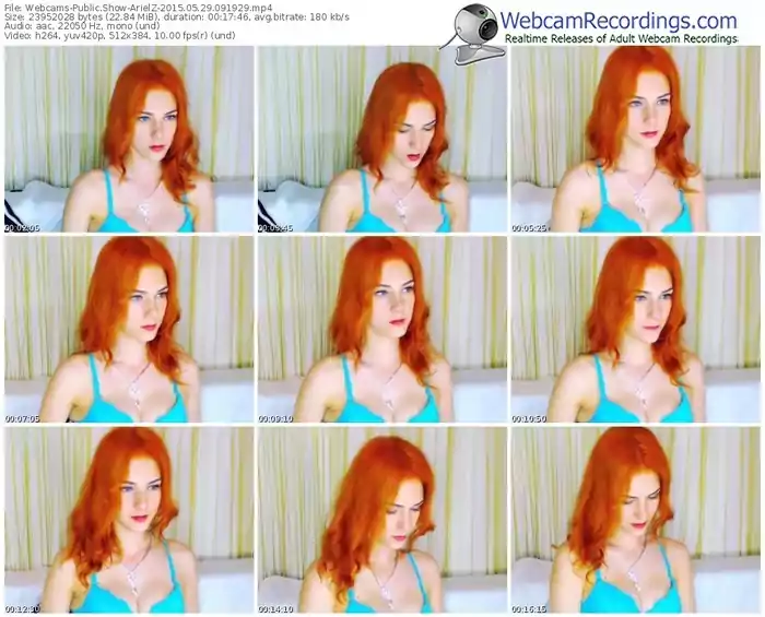 webcams-arielz-public-show-05_29_2015-09_19_29