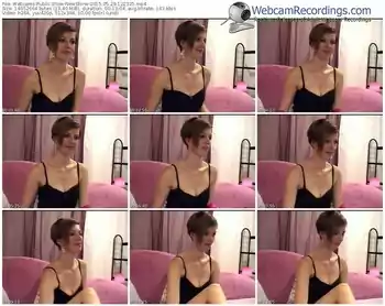 webcams-newshine-public-show-05_29_2015-12_23_25