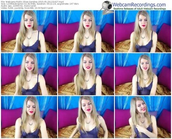 webcams-sandrey-public-show-05_29_2015-13_14_27