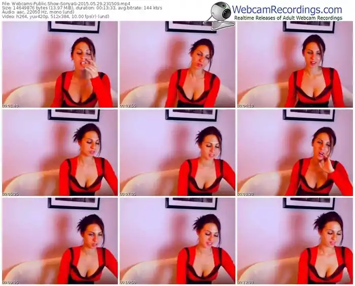 webcams-sonyag-public-show-05_29_2015-23_15_09