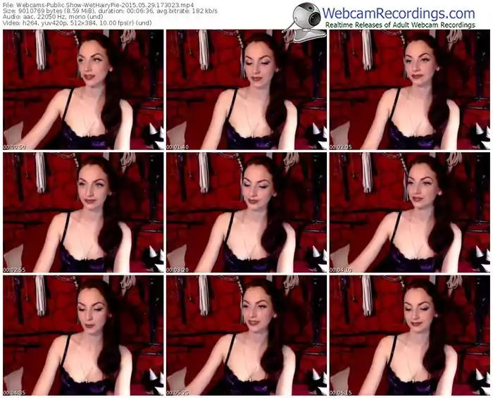 webcams-wethairypie-public-show-05_29_2015-17_30_23