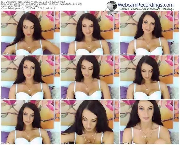 webcams-angell-public-show-05_30_2015-05_26_26