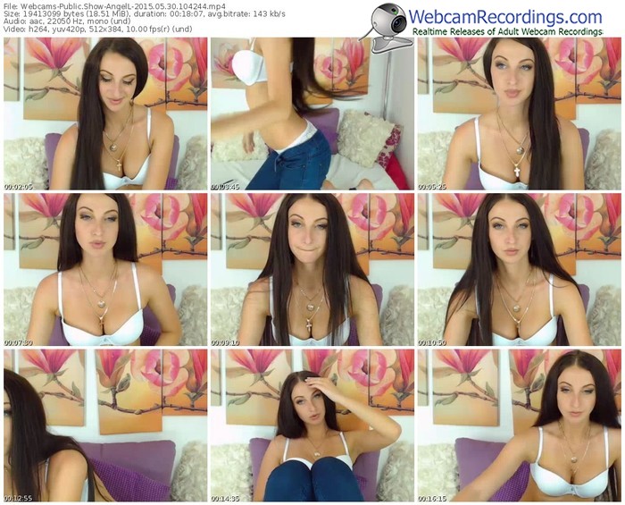 webcams-angell-public-show-05_30_2015-10_42_44