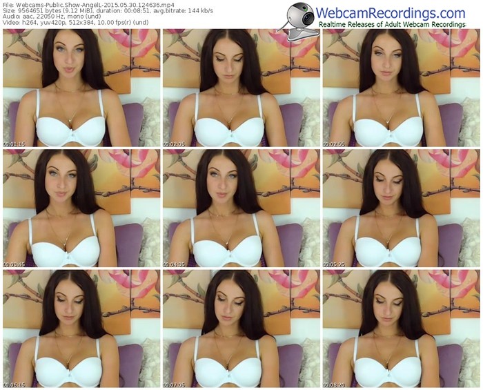 webcams-angell-public-show-05_30_2015-12_46_36