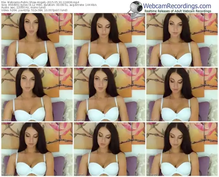 webcams-angell-public-show-05_30_2015-12_46_36