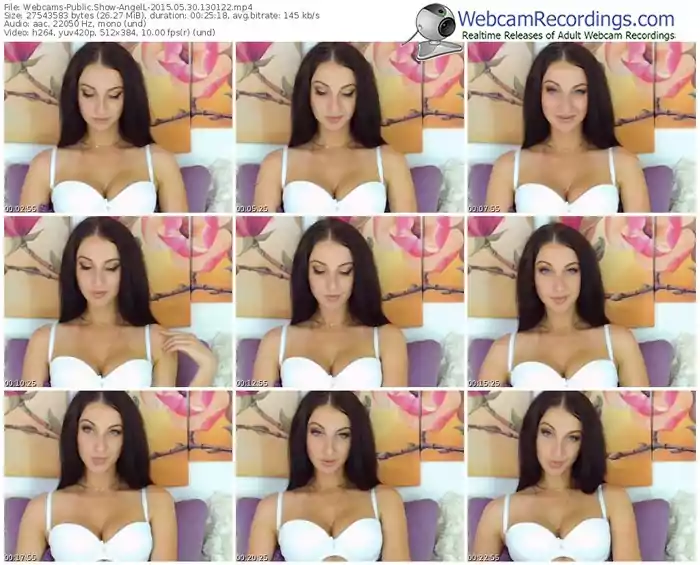 webcams-angell-public-show-05_30_2015-13_01_22