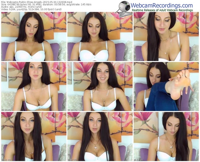 webcams-angell-public-show-05_30_2015-13_29_38