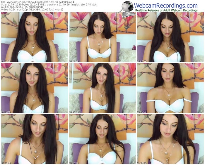 webcams-angell-public-show-05_30_2015-14_49_49