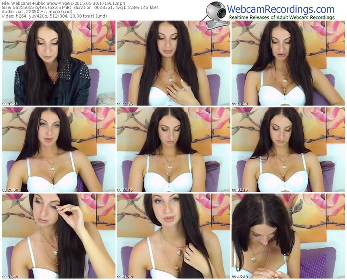 webcams-angell-public-show-05_30_2015-17_19_11