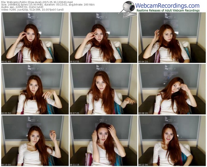 webcams-avag-public-show-05_30_2015-10_36_43