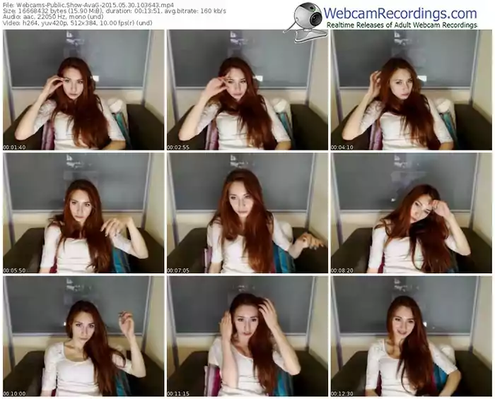 webcams-avag-public-show-05_30_2015-10_36_43