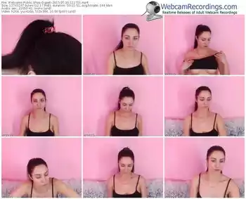 webcams-dgaell-public-show-05_30_2015-11_17_01