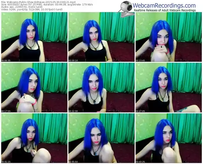 webcams-editalex-public-show-05_30_2015-03_01_21