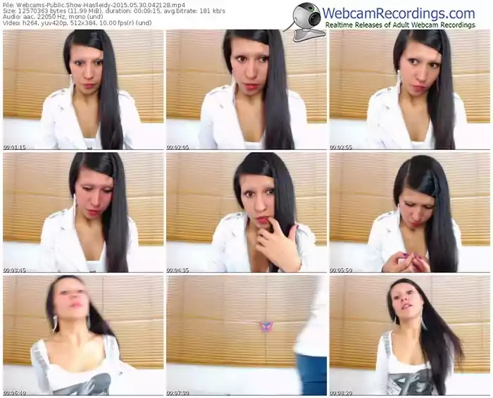 webcams-haslleidy-public-show-05_30_2015-04_21_28