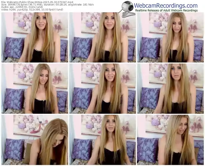 webcams-mitsie-public-show-05_30_2015-07_03_47